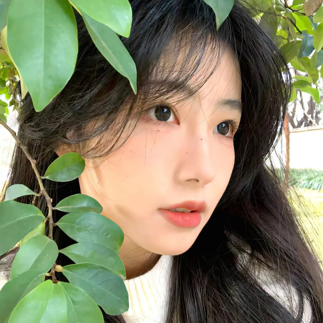 向阳农庄的罗曼史